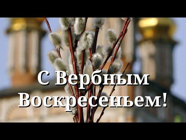 С Вербным Воскресеньем! Красивое поздравление с Вербным Воскресеньем.