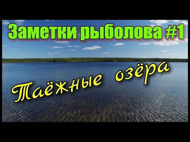 Рыбалка. Заметки рыболова #1.Таёжные озёра Томской области. Fishing in Russia