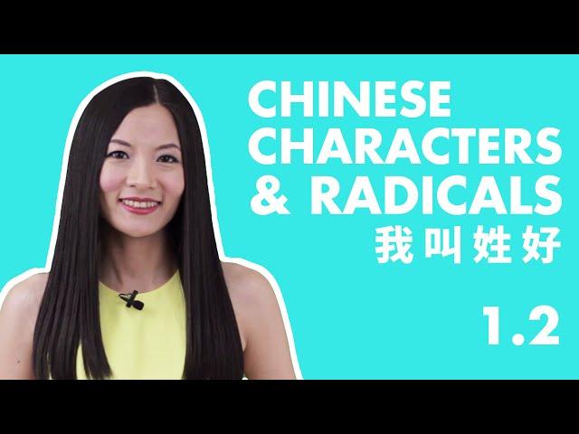 Learn Chinese Characters for Beginners 1.2 | Beginner Chinese Characters Course | HSK 1 Characters