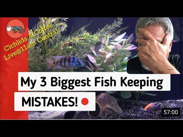 3 Embarrassing Fish Keeping  Mistakes [I Hope they Helped You to NOT Make the Same Errors] - LIVE!