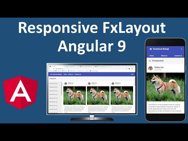 Angular 9   Flex Layout   Getting started with FxLayout and Angular Material