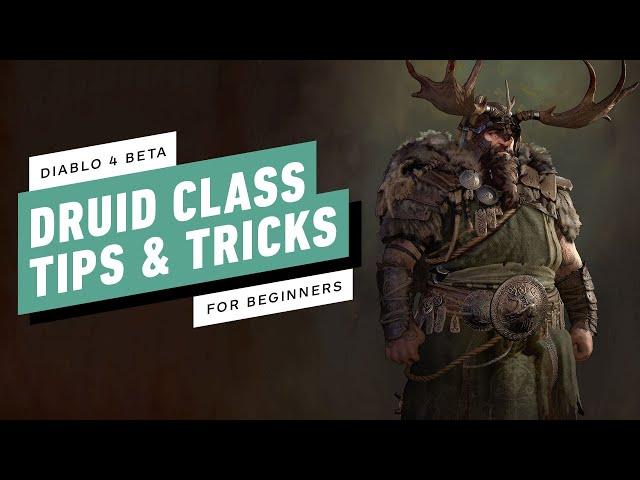 Diablo 4 - Druid Class Tips and Tricks For Beginners