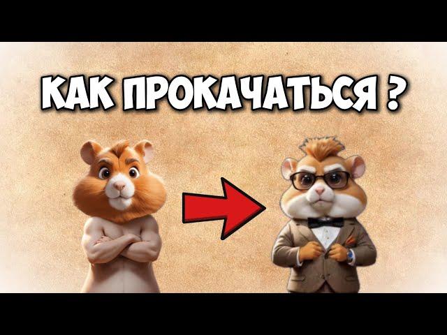  САМАЯ БЫСТРАЯ ПРОКАЧКА В HAMSTER KOMBAT / Боты для прокачки в Хамстер Комбат