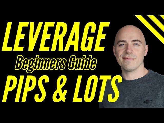 Forex Leverage for Beginners Explained (lot sizes and pips)