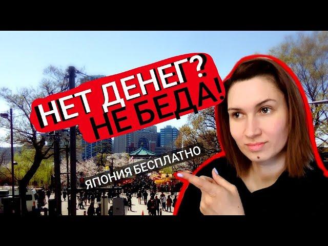 Бесплатное обучение за границей. Как уехать в Японию в 18 лет