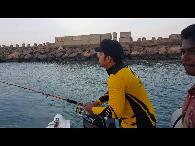 Barracuda Fishing in Chennai with Poseidon Sport Fishing