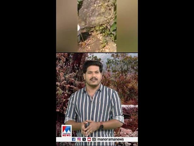 സാറെ ‘കഞ്ചാവ്’ വിത്ത് മാത്രമെയുള്ളു; തപ്പി എക്സൈസ്, കണ്ടത് അരയേക്കര്‍ കൃഷി #idukki #ganja