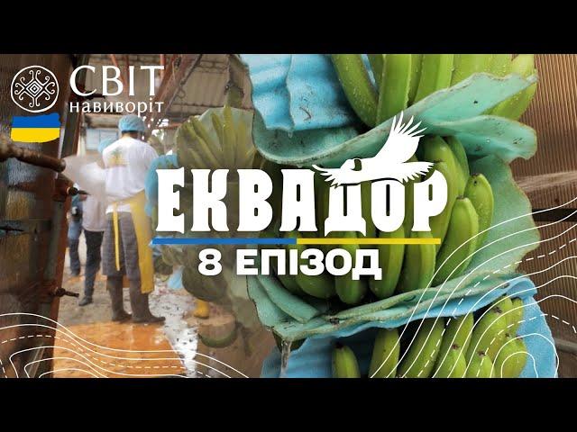 Як банани з Еквадору вирощують та готують до експорту в Україну. Світ навиворіт. 8 випуск