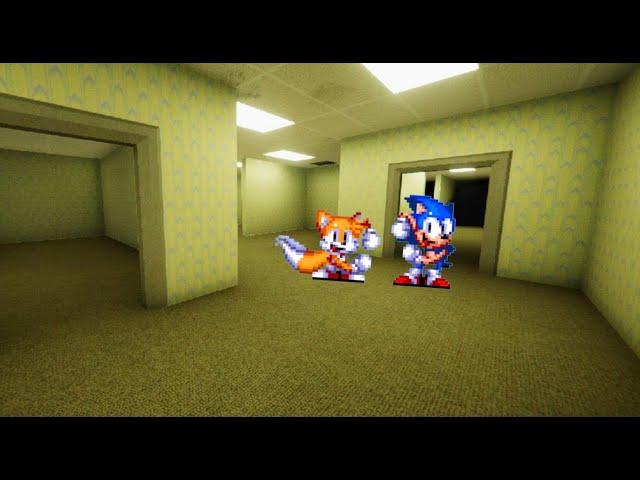 Classic Sonic and Tails dancing Everywhere