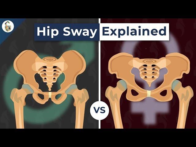 Why Do Women's Hips Sway When They Walk?