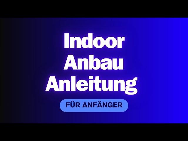 Indoor Anbau Anleitung für Anfänger -  Indoor Grow Guide für Anfänger