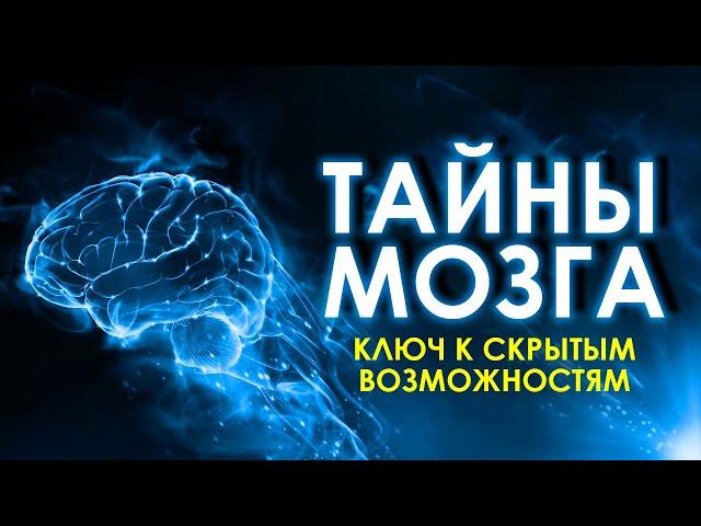 Все тайны человеческого мозга и как его обмануть? Ваш мозг и его развитие. Аудиокнига целиком