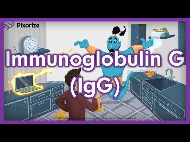 Immunoglobulin G (IgG) USMLE Mnemonic