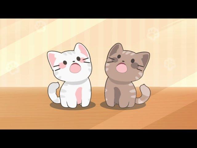 Duet Cats - super fun and relaxing game