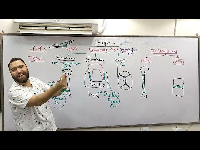 Basis Anatomy (JOINTS) 197 القصر العينى