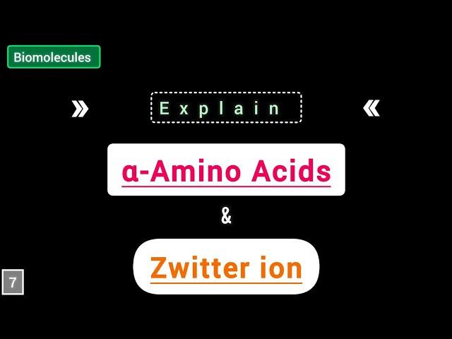 What are α-Amino Acids? Explain Zwitter ion for exam