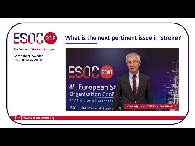 What is the next pertinent issue in Stroke?