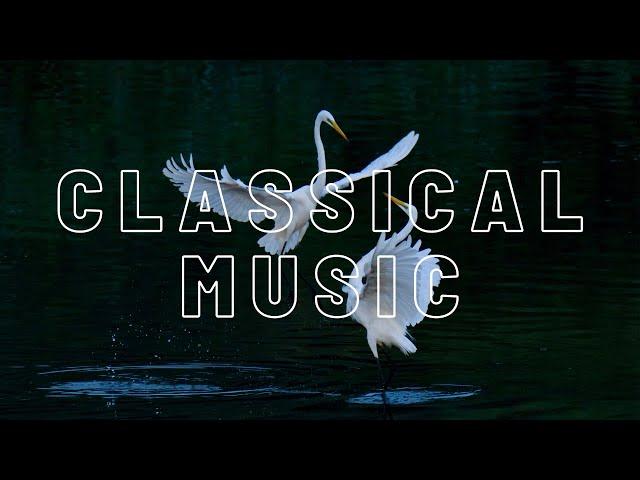 Сlassical music out of time.