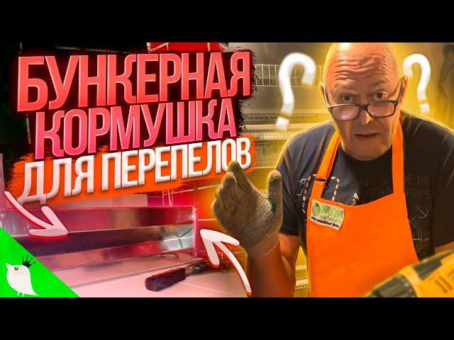 Бункерная кормушка для перепелов. DIY - Сделай сам. Перепела для начинающих