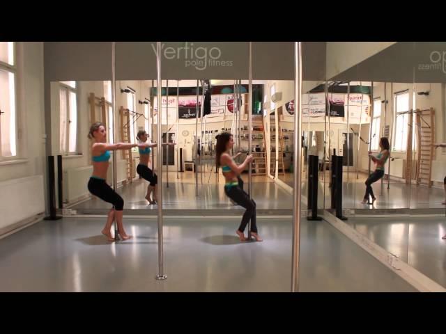 Vertigo & Dragonfly Inspiration: Total Pole Fitness Workout Vol.2