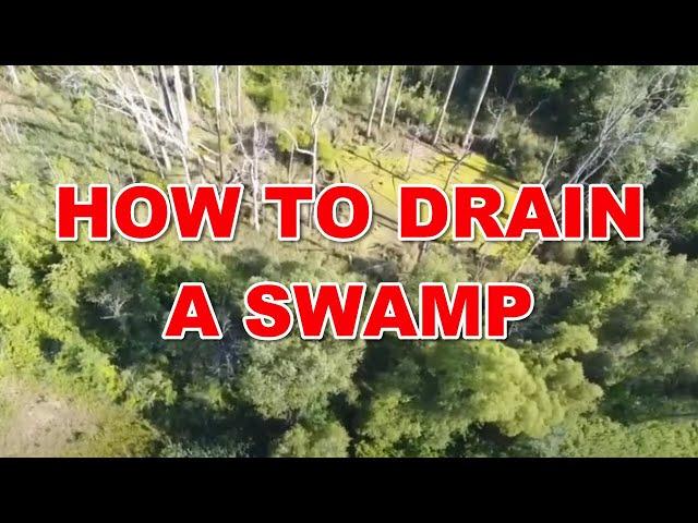 How to Drain a Swamp  [ 8-11-2020 ]