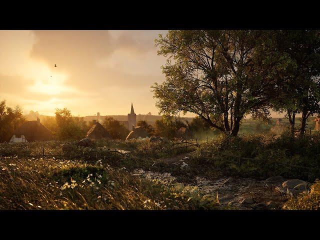 Beautiful Sunset In The English Countryside | Gentle Stream, Sheep and Crow Sounds | 4K