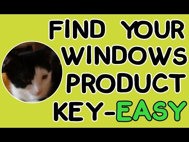 Find Your Windows 7, 8 &10 Product Key - EASY