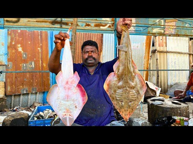 KASIMEDU  SPEED SELVAM | BROWN STINGRAY FISH CUTTING VIDEO | IN KASIMEDU | FF CUTTING 