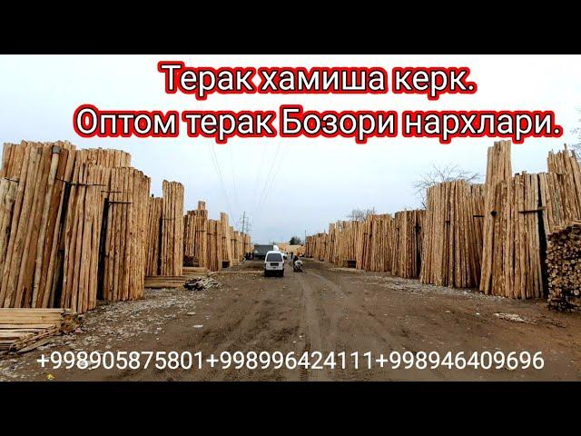 ТОШКЕНТ ОптомТерак бозори нархлари.