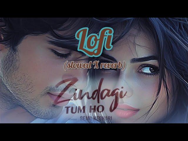 Zindagi  Tum Ho lofi  song ||  tranding song lofi 2024 