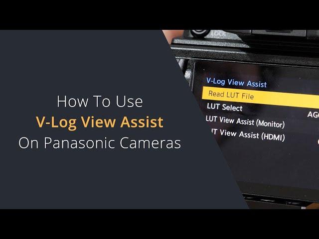 How to use V-Log View Assist on Panasonic Cameras | Preview LUTs on the Panasonic Lumix Cameras