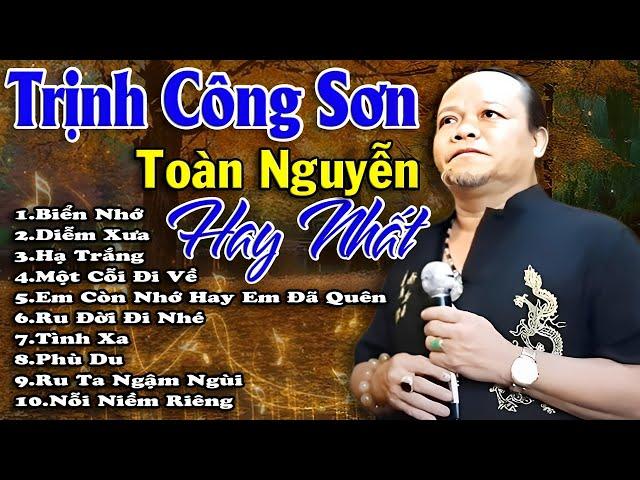 Nổi Da Gà với Tuyển Tập Nhạc Trịnh Hay Nhất qua tiếng hát của Toàn Nguyễn