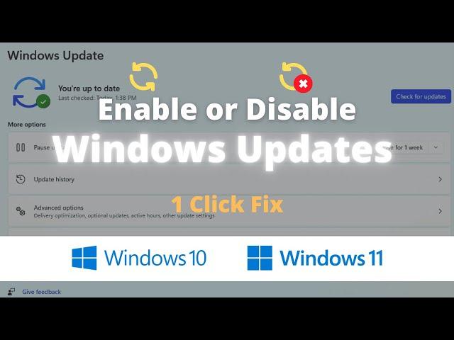 How to Enable or Disable Windows 10, 11 Updates [Free Tool]