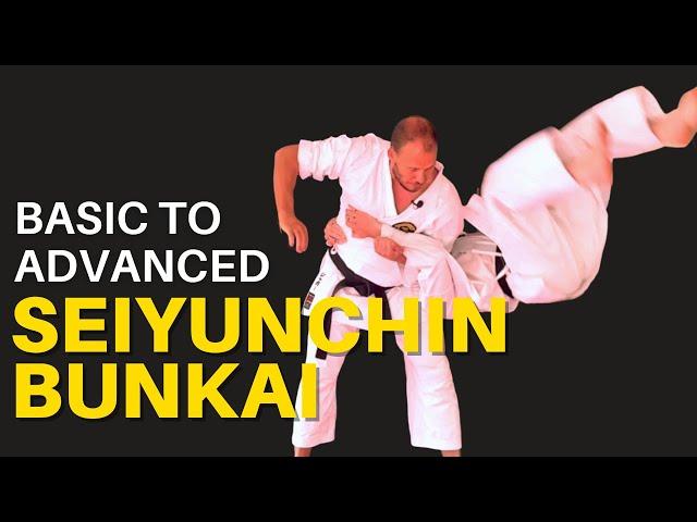 Seiyunchin Bunkai: Basic and Advanced for Goju Ryu