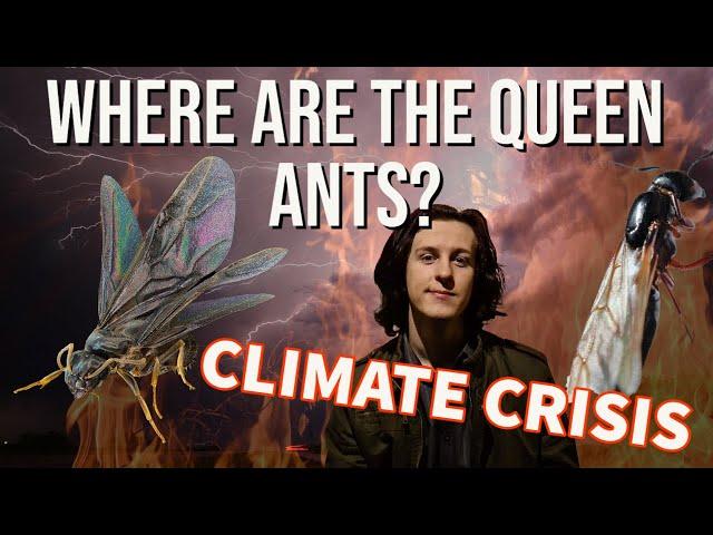 Where Are The Queen Ants? | Climate Crisis 2021