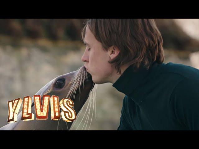 Ylvis - Language of Love [Official music video HD]