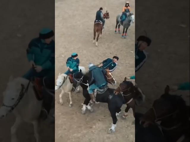 Mana o’sha mashxur bo’lgan video #reels #rek #uloq #reklam #uzbek #horse #uzbekstars #reaction