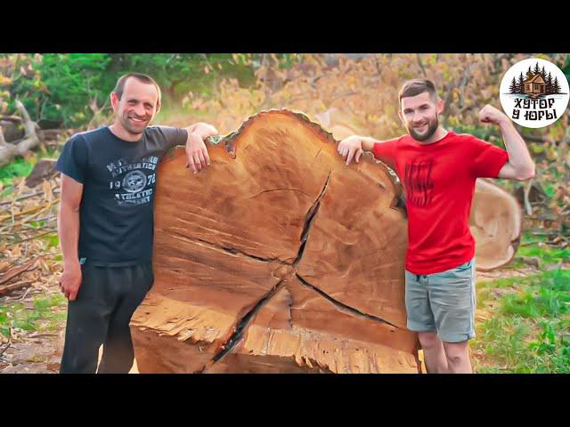 Парни против 300-летнего дуба. Эксклюзивные слэбы. Guys against a 300-year-old oak tree. Exclusive