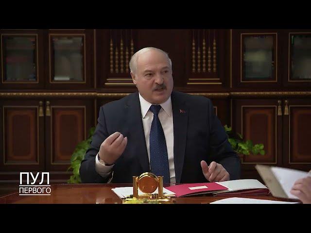 Лукашенко о ЦЭ: "Зачем вы катавасию эту устроили???"