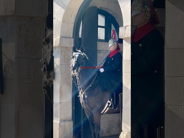 #lifeguards #horseguard #horse #thebluesandroyals #royalguards #royalkingsguards #kingslifeguard #uk