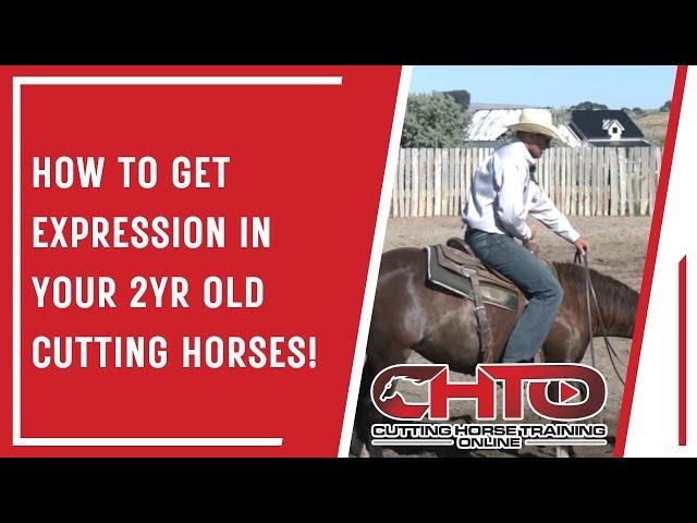 How To Get Expression In Your 2yr Old Cutting Horses!