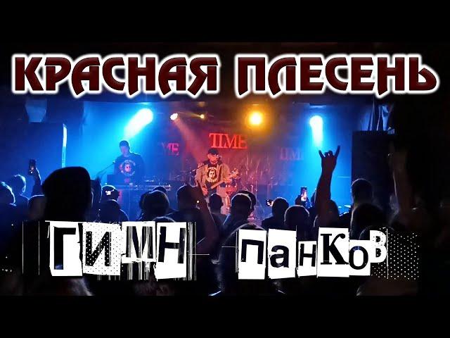 КРАСНАЯ ПЛЕСЕНЬ - ГИМН ПАНКОВ (ПЕТРОЗАВОДСК, 10.05.2024)