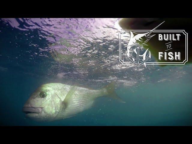 Built to Fish Ep 09: West Coast Land Based Adventure.