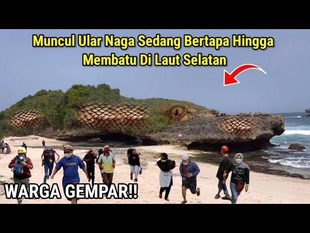 Warga Gempar !! Muncul Ular Naga Sedang Bertapa Hingga Membatu Di Laut Selatan