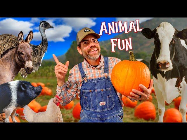 Farm Animal Fun with Pumpkins! (Fun Educational Video for Kids and Families)