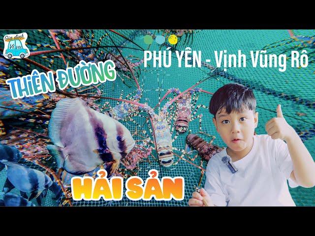 Khám Phá Vũng Rô Phú Yên - Thiên Đường Hải Sản Đỉnh Cao | Bí Kíp Du Lịch Phú Yên