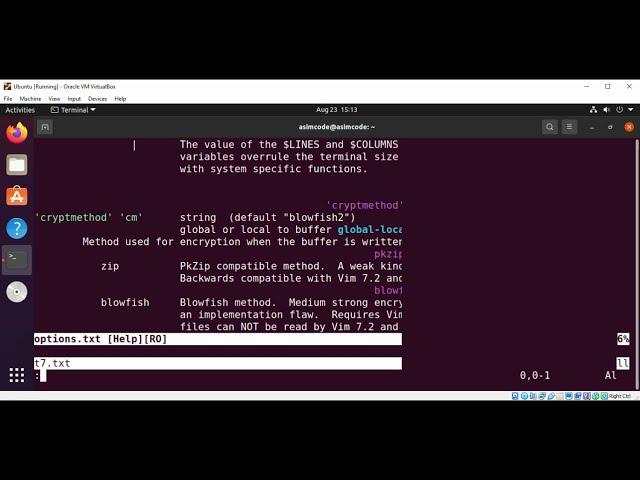 How to use the vim editor in Linux to encrypt and decrypt files