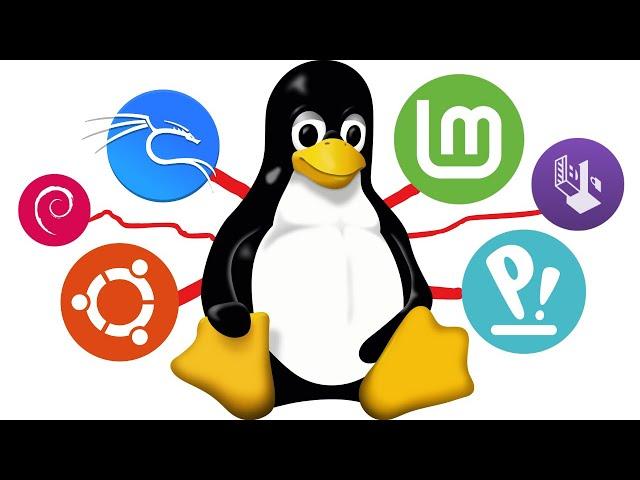 The Best Linux Distro for Programming