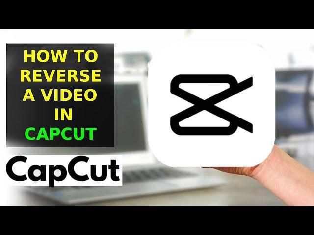 How To Reverse A Video On CapCut (2023)