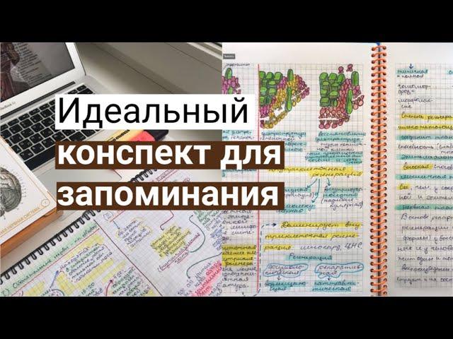 Идеальный конспект для запоминания